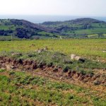 Samothraki